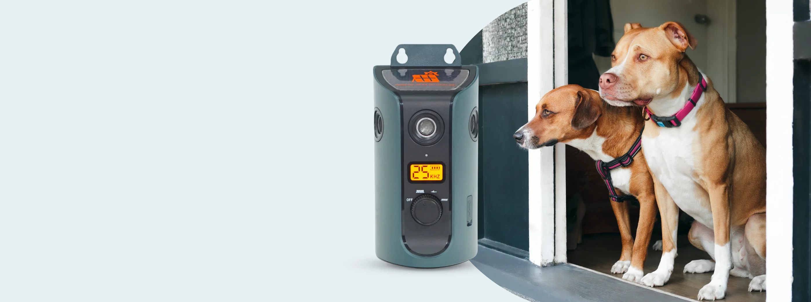 Master Every Walk and Command